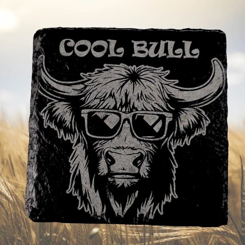 Funny Cow Slate Coasters Premium Slate Coasters
